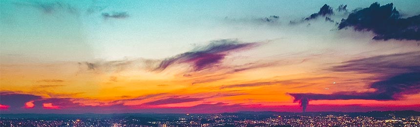 神农架茶虫网_神农架品茶